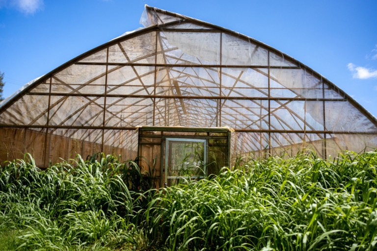 Agriculture & AgTech, technology solutions by Abeytrust