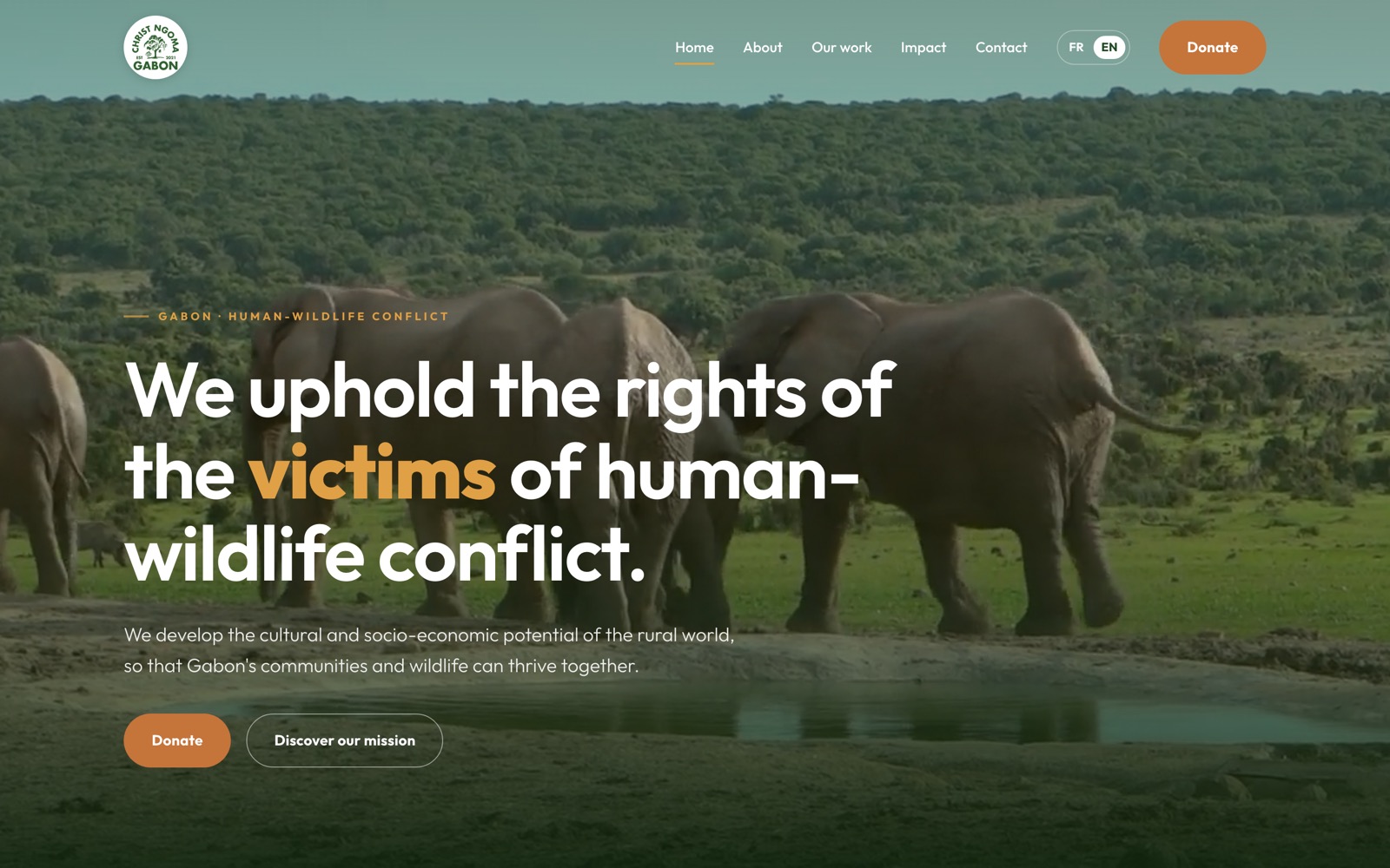Christngoma website